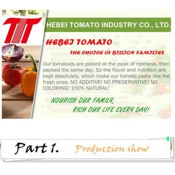 Best Tomato Paste with 70g 210g 400g 800g 850g 1kg 2.2kg 3kg 4.5kg